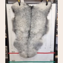 Islandsk klippet lammeskind naturligt gr str L  3917