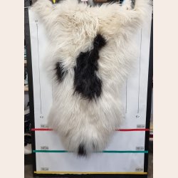 Islandsk lammeskind plettet str XL 4214