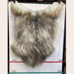 Islandsk lammeskind naturligt gr� str M - 2416