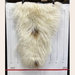 Islandsk lammeskind langh�ret bruntplettet str S - 1213