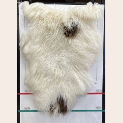 Islandsk lammeskind plettet str XL 4213