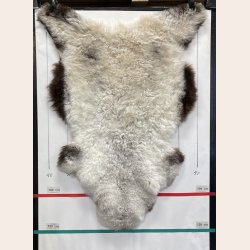 Islandsk klippet lammeskind naturligt gr� str L  3910