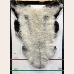 Islandsk klippet lammeskind naturligt gr� str L  3912