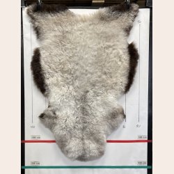 Islandsk klippet lammeskind naturligt gr� str L  3914