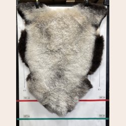 Islandsk klippet lammeskind naturligt gr� str L  3915
