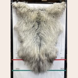Islandsk lammeskind gr� str XL 4411