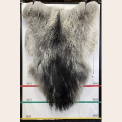 Islandsk lammeskind gr� str XL 4419