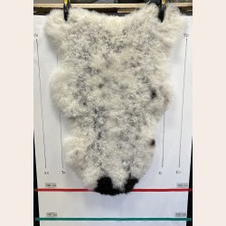 Islandsk lammeskind korth�ret plettet str M - 2712