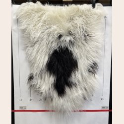 Islandsk lammeskind langh�ret plettet str M - 2220