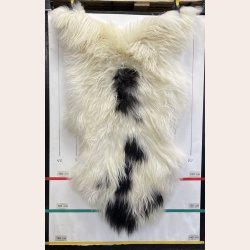 Islandsk lammeskind langh�ret plettet str XL - 4225