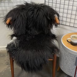 Islandsk lammeskind langh�ret sort str M - 2112