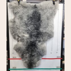 Islandsk klippet lammeskind naturligt gr str L  3929