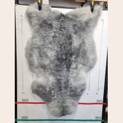 Islandsk klippet lammeskind naturligt gr str L  3925