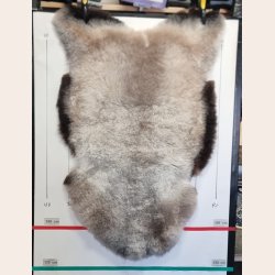 Islandsk klippet lammeskind plettet str L 3722