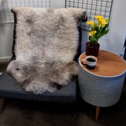 Islandsk klippet lammeskind plettet str L 3724