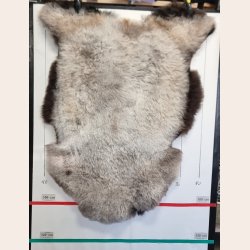 Islandsk klippet lammeskind plettet str L 3724