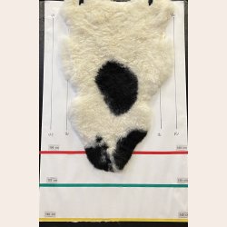 islandsk lammeskind korthret plettet str L - 3712