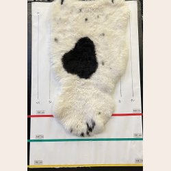 Islandsk lammeskind korthret plettet str L - 3714