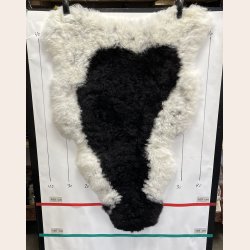 Islandsk klippet lammeskind plettet str L 3724