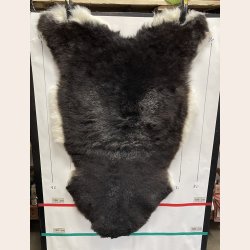 Islandsk klippet lammeskind plettet str L 3725