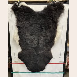 Islandsk klippet lammeskind plettet str L 3726
