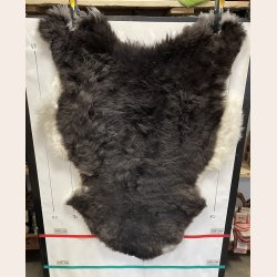 Islandsk klippet lammeskind plettet str L 3730