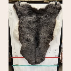 Islandsk klippet lammeskind plettet str L 3734