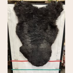 Islandsk klippet lammeskind plettet str L 3735
