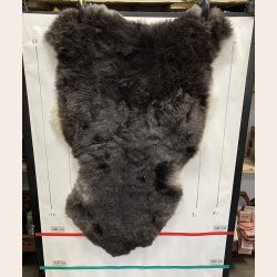 Islandsk klippet lammeskind plettet str L 3736