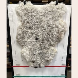 Islandsk klippet lammeskind plettet str M 2724