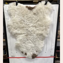 Islandsk klippet lammeskind plettet str M 2726