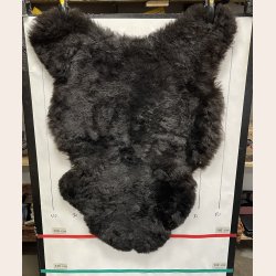 Islandsk klippet lammeskind plettet str M 2728