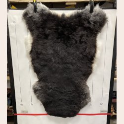Islandsk klippet lammeskind plettet str M 2731