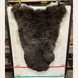 Islandsk klippet lammeskind plettet str M 2734