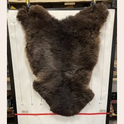 Islandsk klippet lammeskind plettet str M 2735