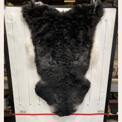Islandsk klippet lammeskind plettet str M 2736