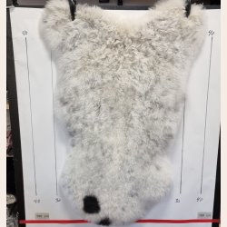 Islandsk klippet lammeskind gr str M 2912