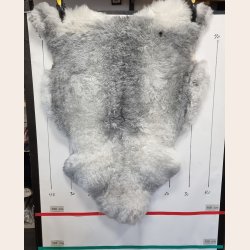 Islandsk klippet lammeskind gr str M 2915
