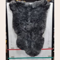 Islandsk klippet lammeskind naturligt gr str L  3910