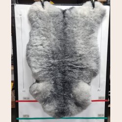 Islandsk klippet lammeskind naturligt gr str L  3914