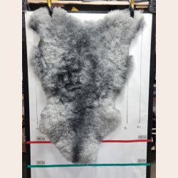Islandsk klippet lammeskind naturligt gr str L  3927
