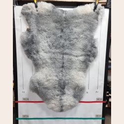 Islandsk klippet lammeskind naturligt gr str L  3931