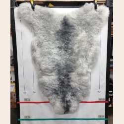 Islandsk klippet lammeskind naturligt gr str L  3932