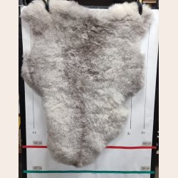 Islandsk klippet lammeskind naturligt gr str L  3933