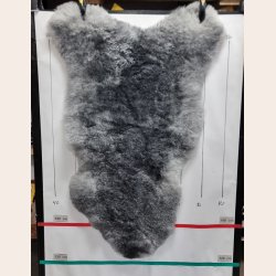 Islandsk klippet lammeskind naturligt gr str L  3934