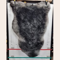 Islandsk klippet lammeskind naturligt gr str L  3935