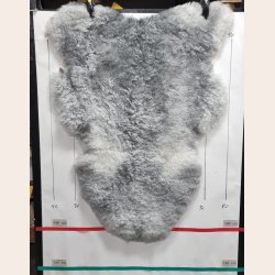 Islandsk klippet lammeskind gr str M 2927