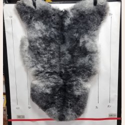 Islandsk klippet lammeskind gr str M 2935