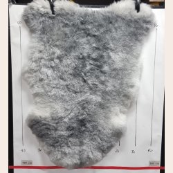 Islandsk klippet lammeskind gr str M 2936