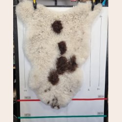 Islandsk klippet lammeskind plettet str L 3721